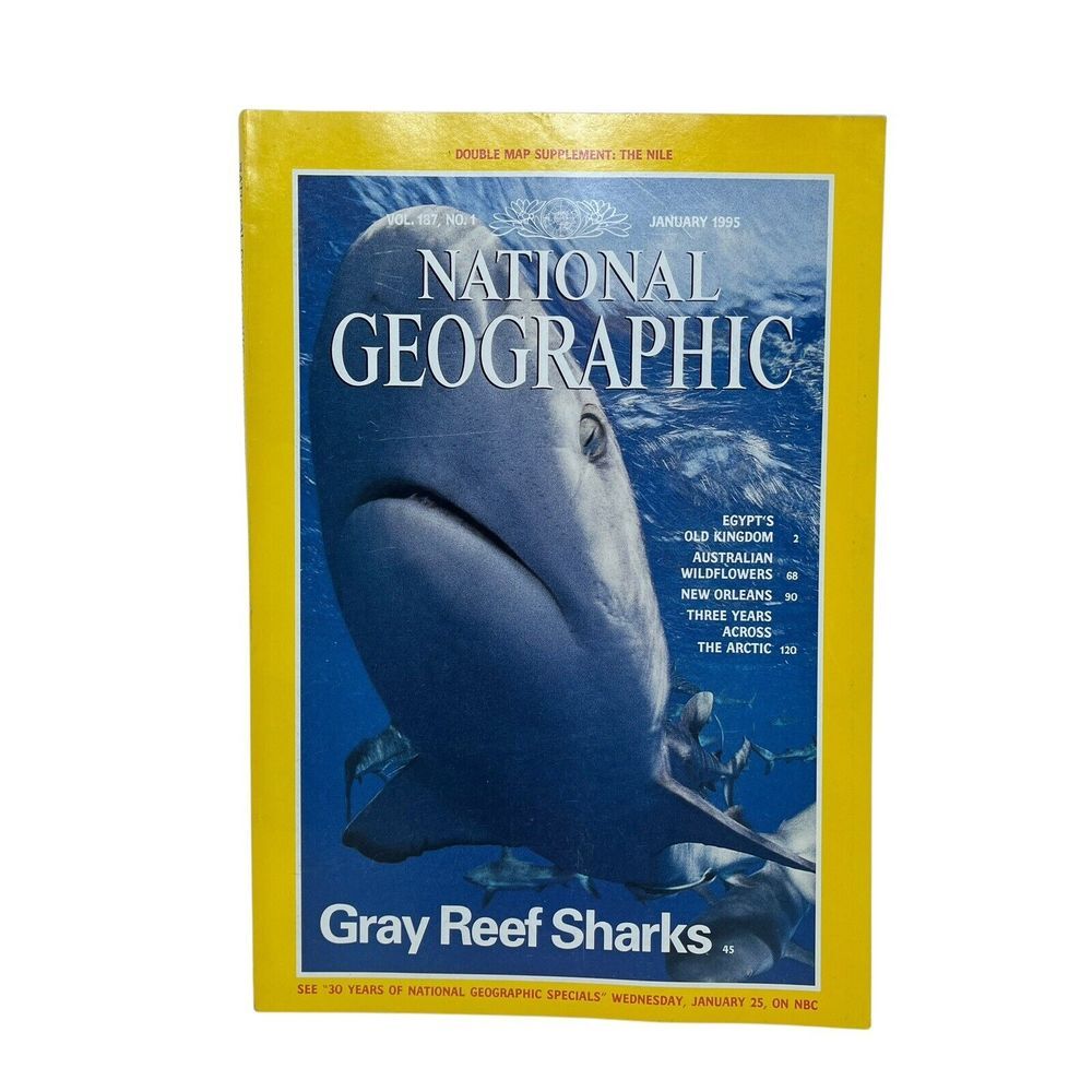 National Geographic Magazine January 1995 Vintage The‎ Nile Reef Shark Egypt